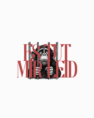 "Es tut mir leid" Affe Shirt - PIKAYZO